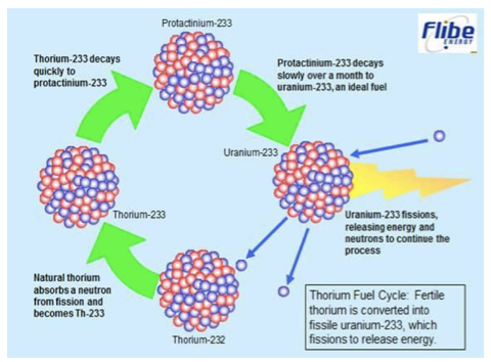 Thorium Molten Salt Reactors TMSR