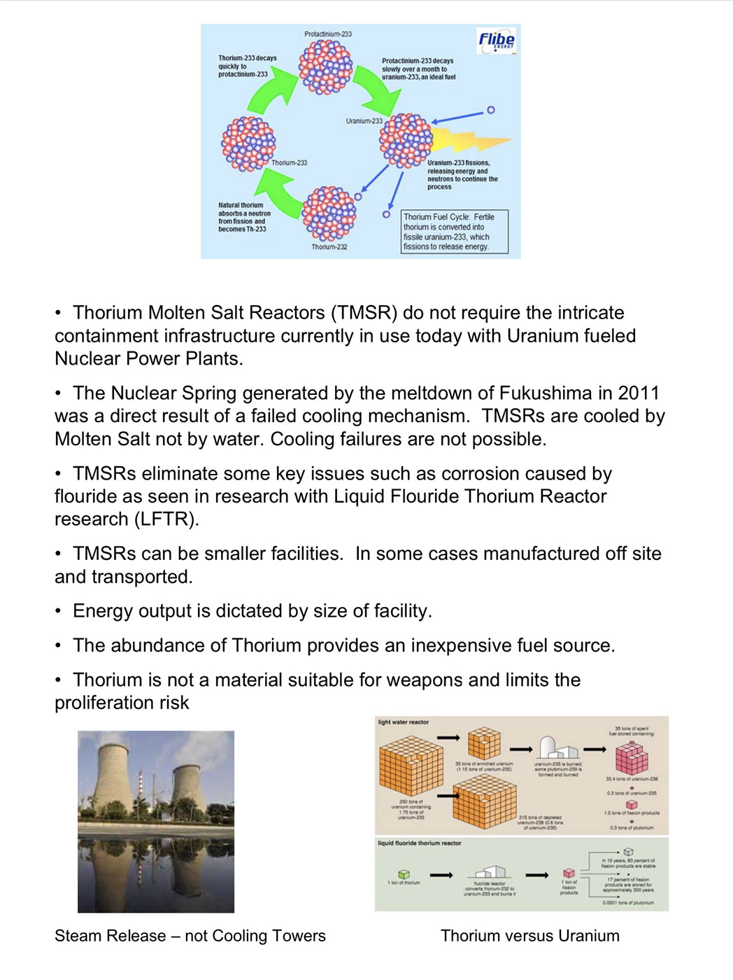 Thorium Reactors